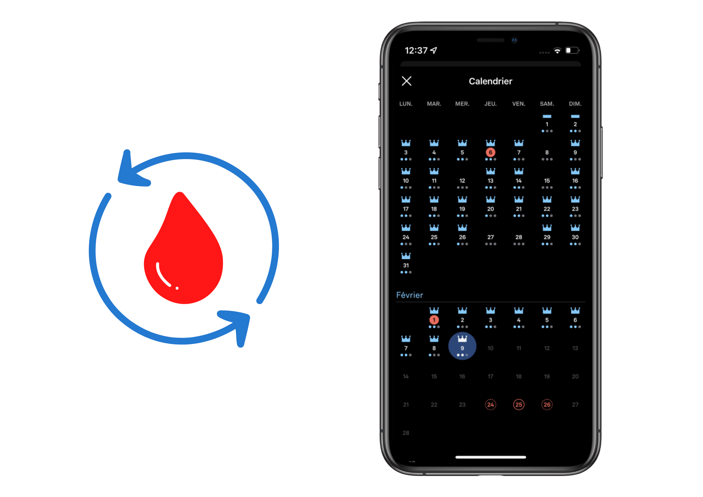cycle mentruel oura ring